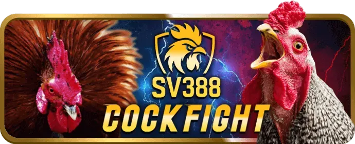 Hoàn Trả Thể Thao new88bi